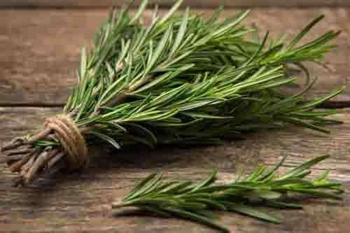 Les ingrédients naturels incontournables contre la chute de cheveux 5 thym plante efficace pour une recette anti chute