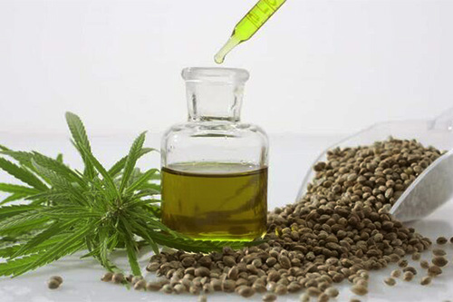 Les ingrédients naturels incontournables contre la chute de cheveux 6 chanvre plante contre la chute de cheveux