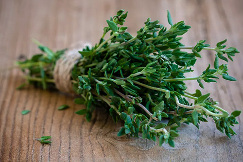 Les ingrédients naturels incontournables contre la chute de cheveux 7 thym une plante contre la chute de cheveux